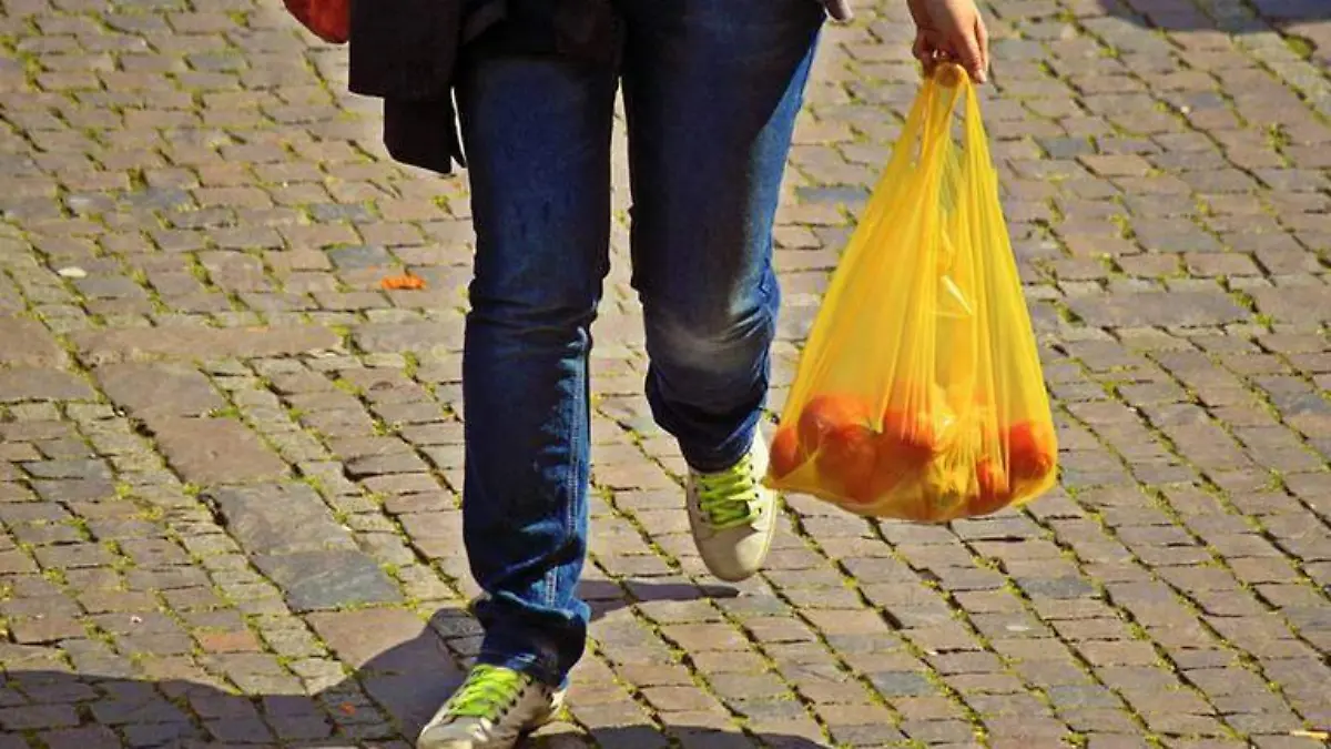 Fabricantes de bolsas